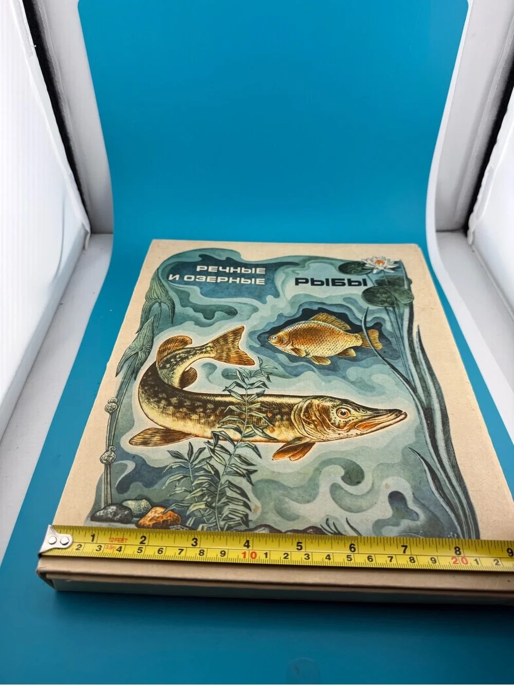 Vintage 1983 USSR Soviet Fish 28 Matchbox Collector Set